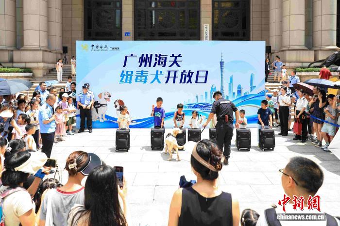 前5月广州海关共查获各类毒品超540公斤
