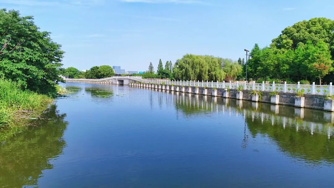 苏州浒墅关：解锁江南夏日田园诗意