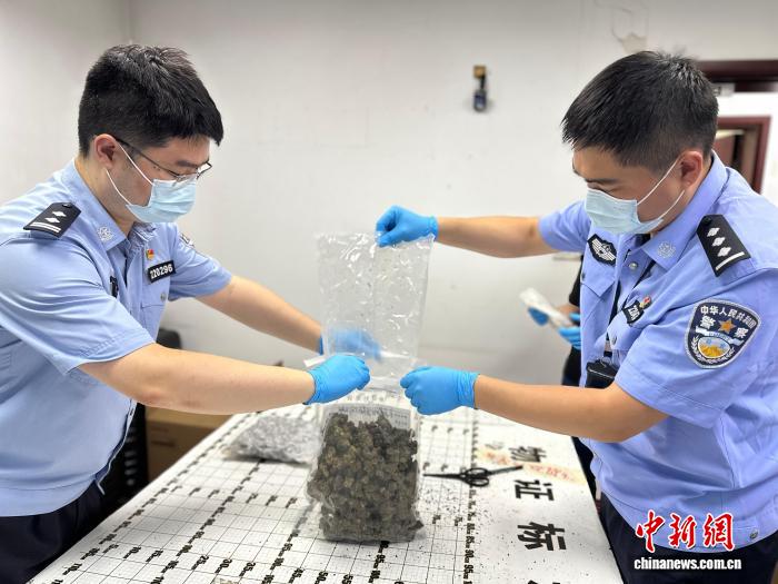 2025年至今上海海关共立案侦查走私毒品刑事案件41起