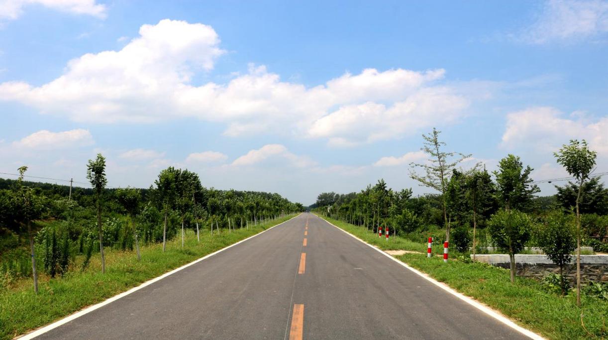 砀山县建设的“四好农村路”。砀山县委宣传部供图