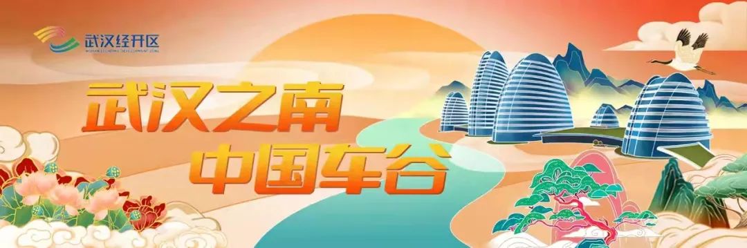 武汉经开区首家千亿市值企业“高光”的背后,是26年的深耕与守护