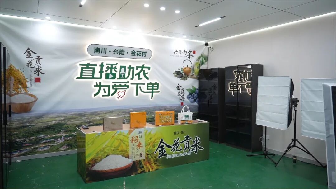 党建引领·村村有道 | 四领模式激活乡村共富动能 金花村集体经济提质增效