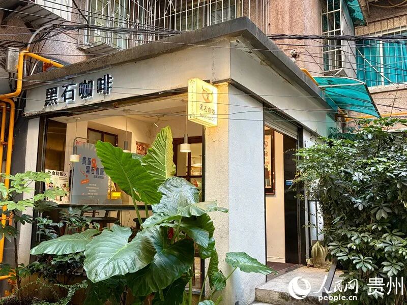 全国顶级咖啡赛事首次落地,贵阳何以能?