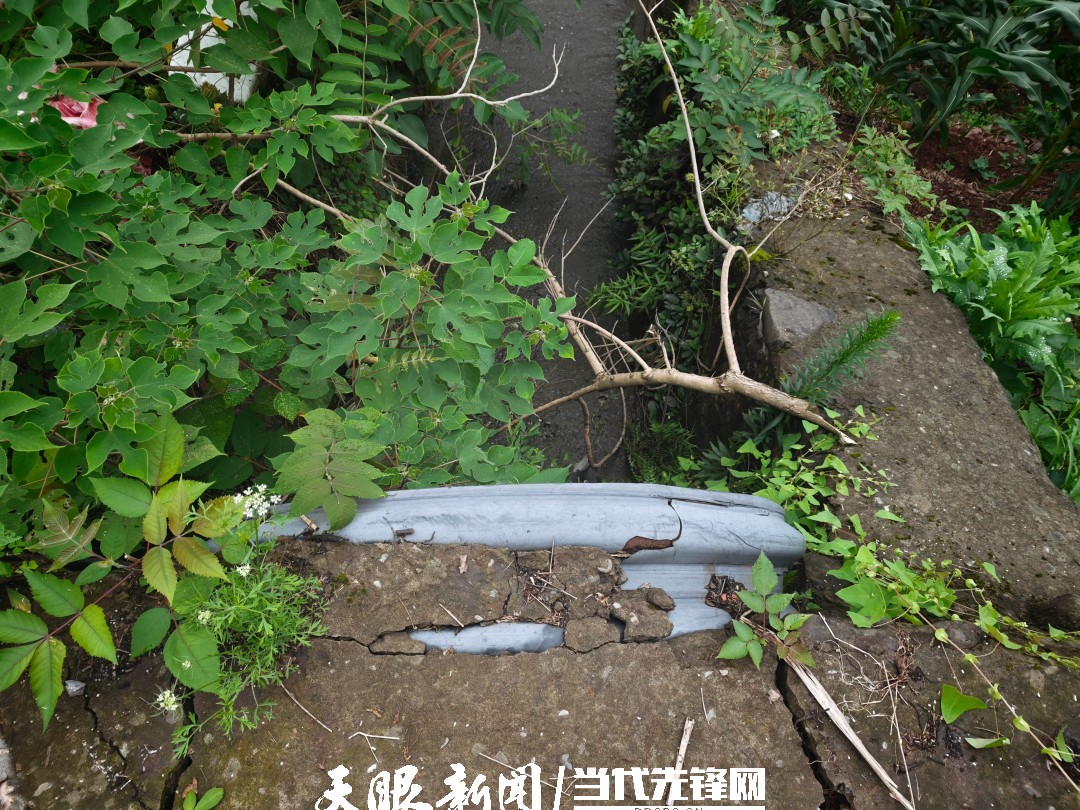 【生态保护】为什么水质采样“扑空”?这是赤水河雨污分流最好的成绩单