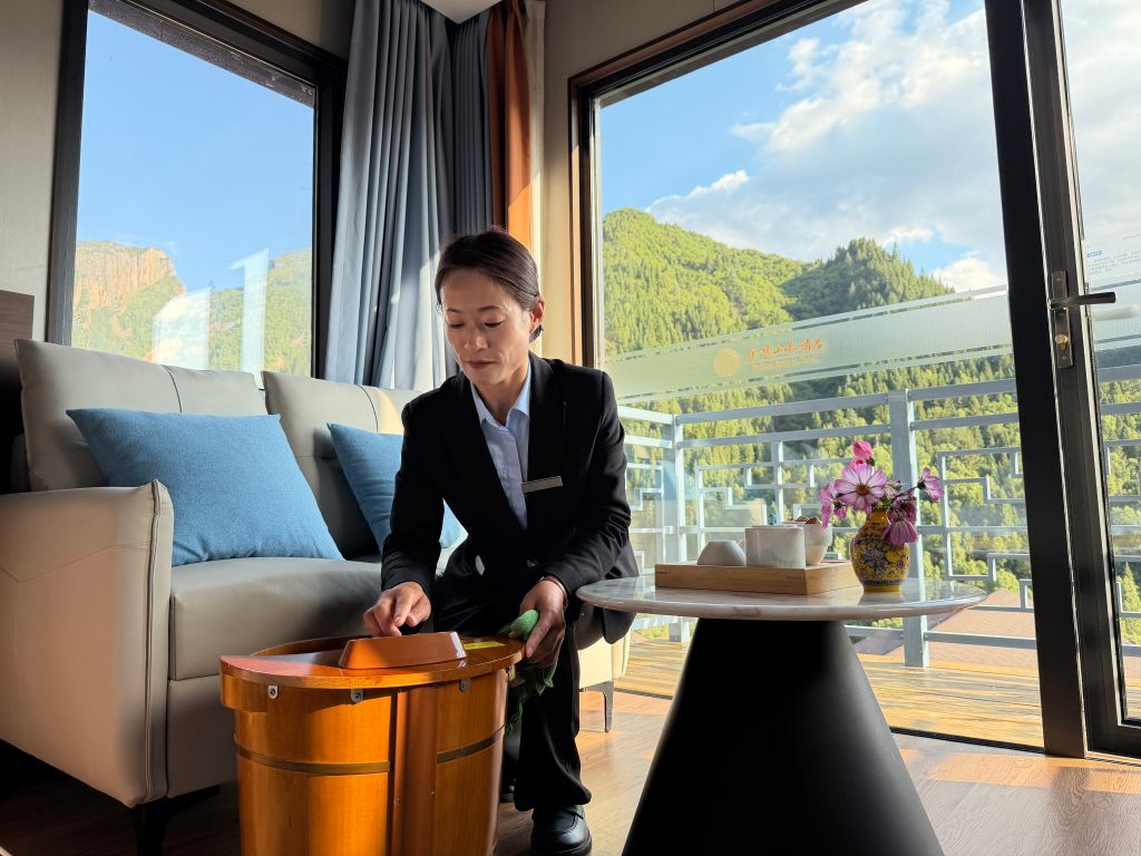 白凤凰落过的地方,“长”出了新生活