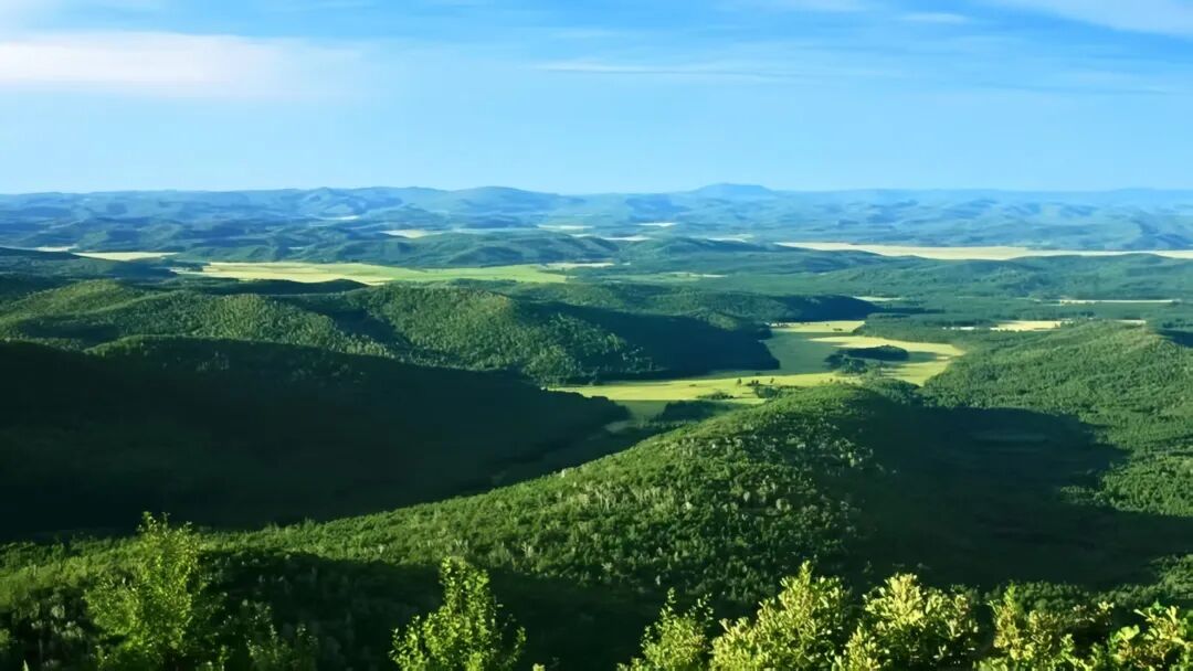 千峰叠翠挺起绿色脊梁——呼伦贝尔“养山富山”的生态答卷