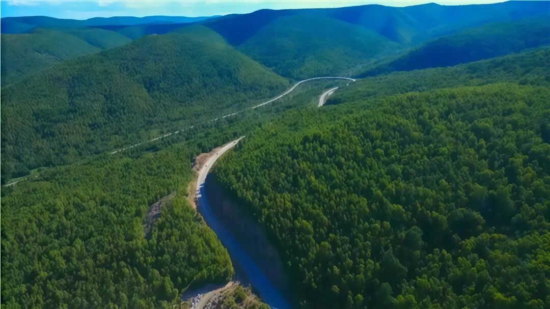 千峰叠翠挺起绿色脊梁——呼伦贝尔“养山富山”的生态答卷