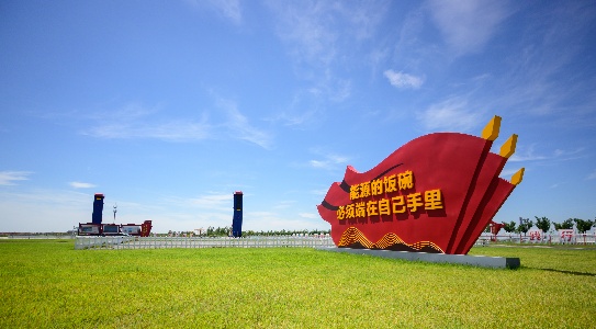 南开大学经济学院“师生四同”实践团赴东营探寻黄河流域生态产品价值实现路径