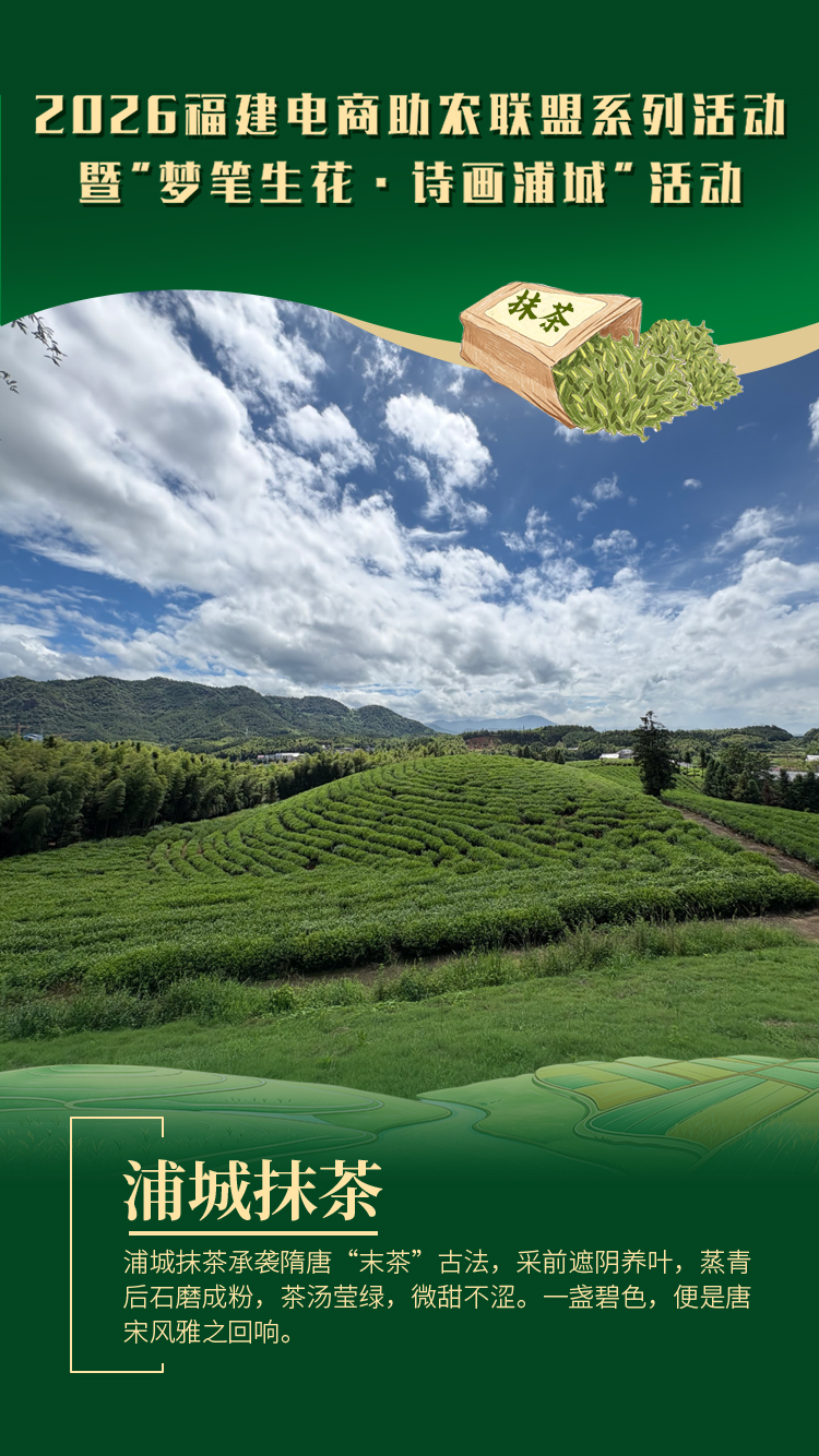 福建浦城抹茶：溯源千年茶脉 翠色兴产富民