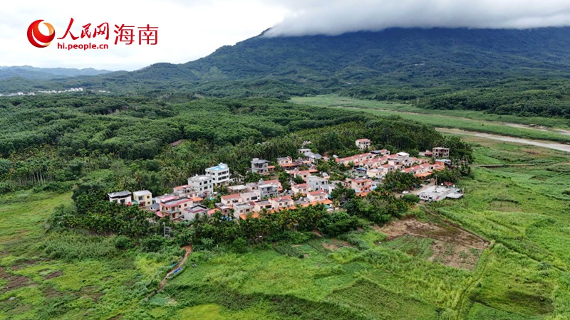 “四无”村庄逆袭记