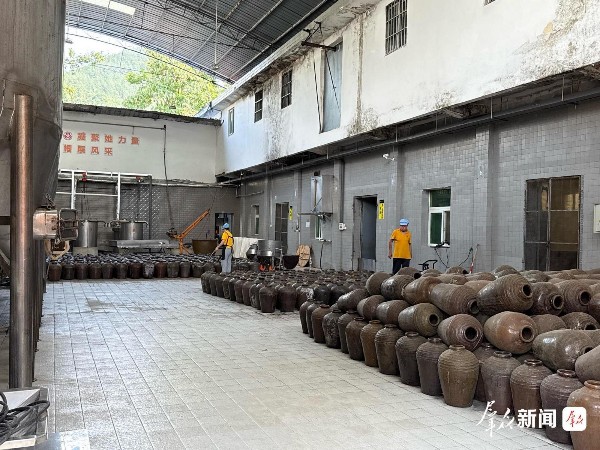 汉中市南郑区：资源“握指成拳”  片区协同发展