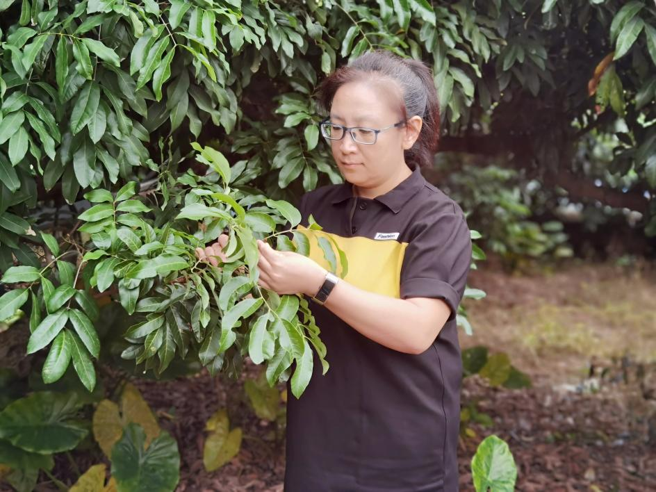 支持女性科技人才在科技创新中发挥更大作用——女科技工作者纷纷谈想法