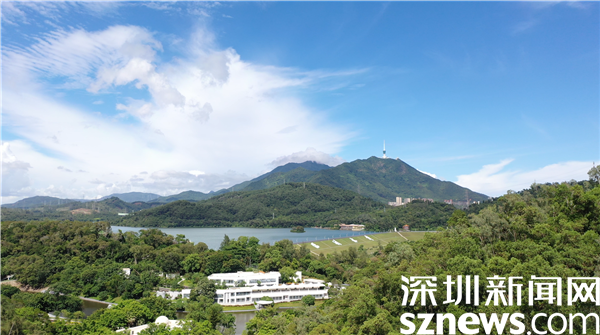 深圳：罗湖区东湖公园山水相融美如画