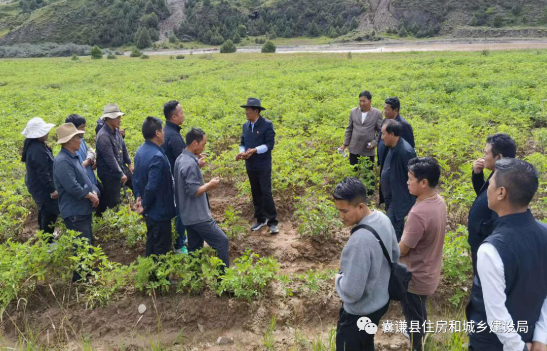 青海囊谦县委副书记、县长西然江措深入娘拉乡调研督导乡村建设工作