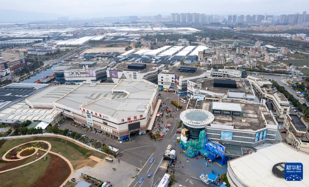 四季中国丨在斗南，秀出鲜花“新花样”