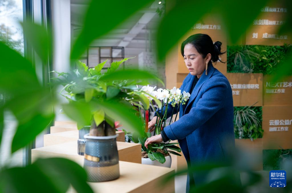 四季中国丨在斗南，秀出鲜花“新花样”