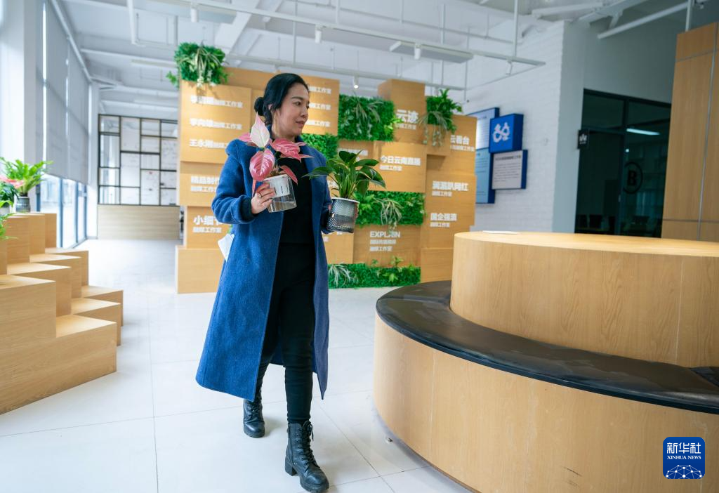 四季中国丨在斗南，秀出鲜花“新花样”