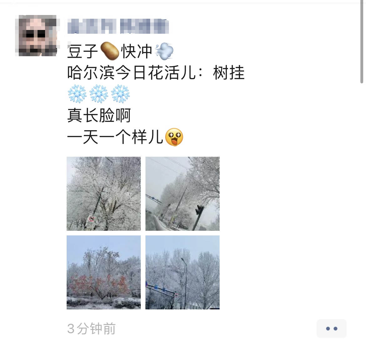 玉树琼花满城开，哈尔滨美景又上新