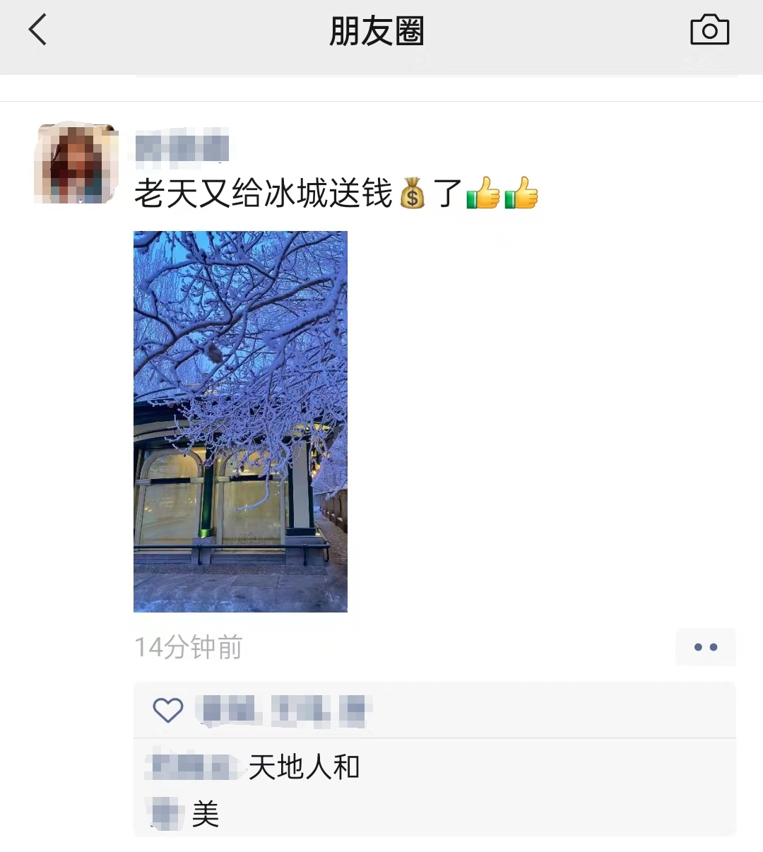 玉树琼花满城开，哈尔滨美景又上新