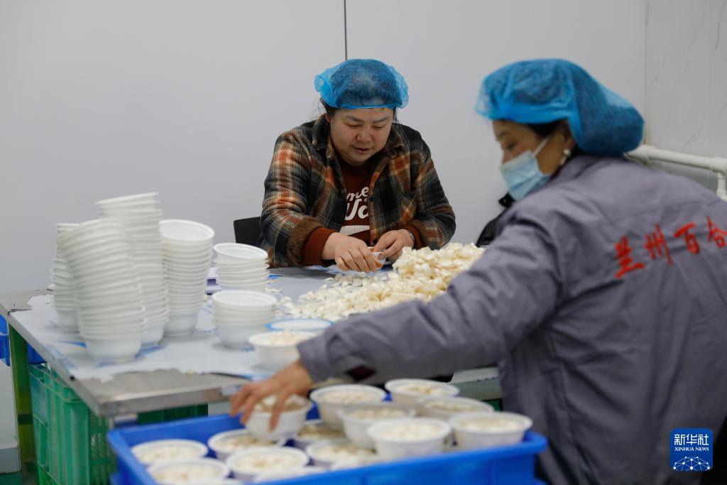 甘肃渭源:百合产业铺就乡村振兴路