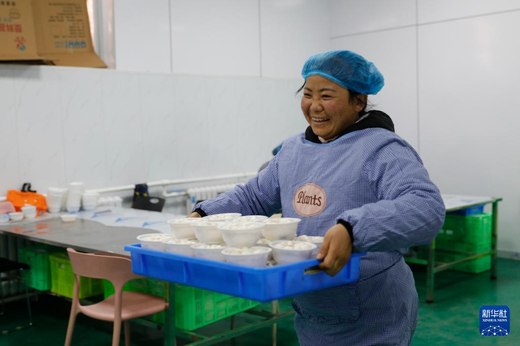 甘肃渭源:百合产业铺就乡村振兴路