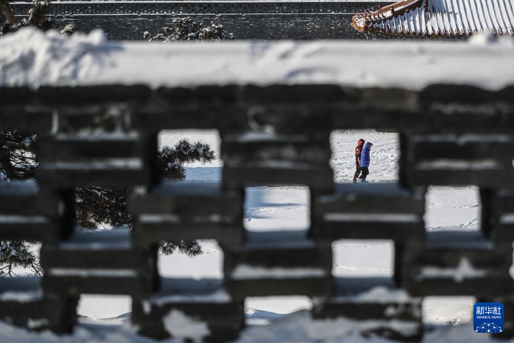 雪后游园