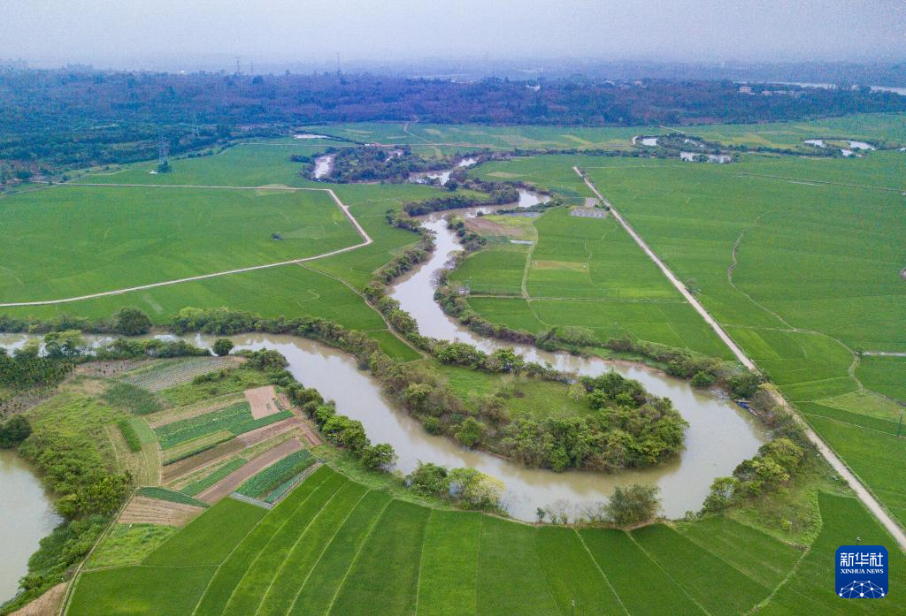 海口：三十六曲溪春意浓