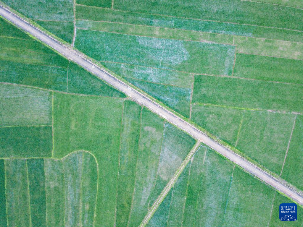 海口：三十六曲溪春意浓