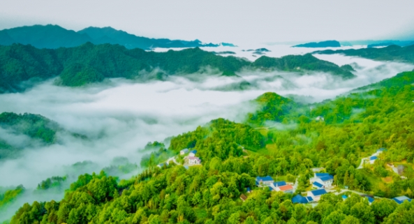 湖南中烟：脚踏沃野 筑梦乡村