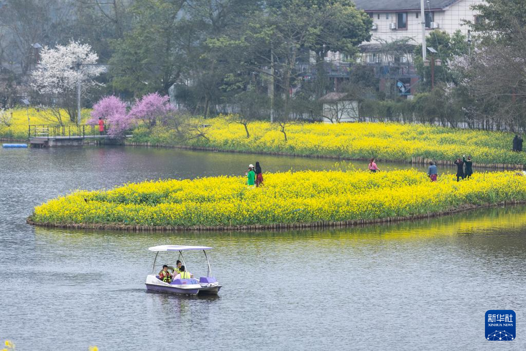 重庆：暖风微拂 花开大地