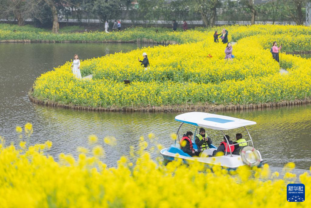 重庆：暖风微拂 花开大地