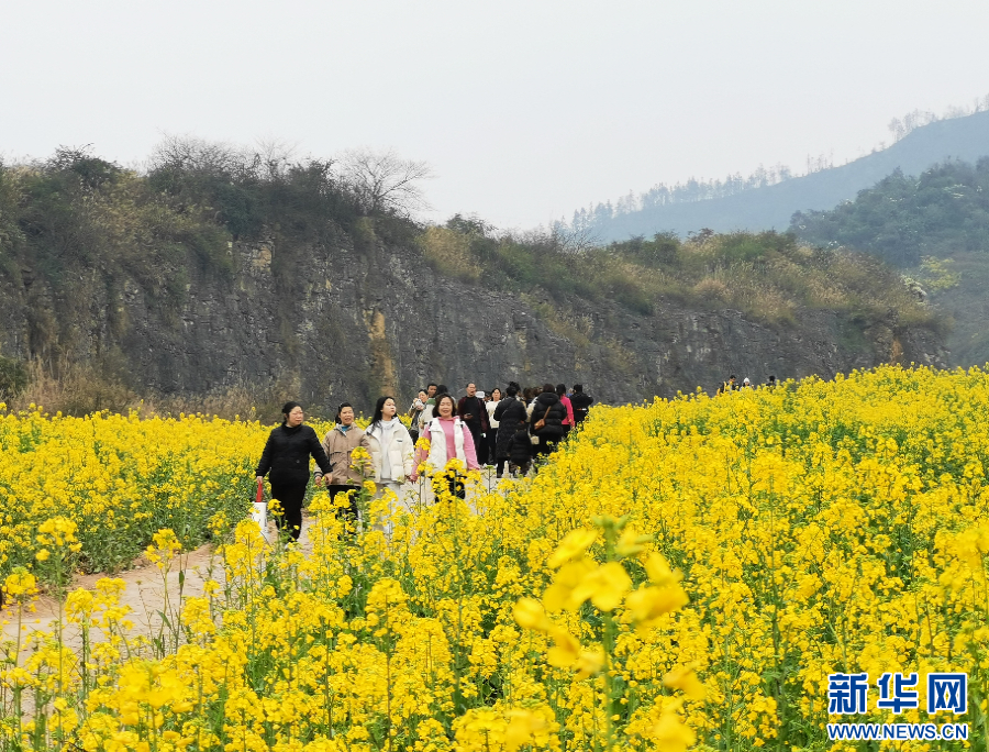 治山、治乡、治城 重庆一路“繁花”背后的生态故事