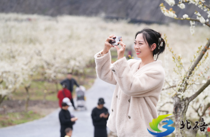 重庆北碚：以花为媒助力乡村振兴