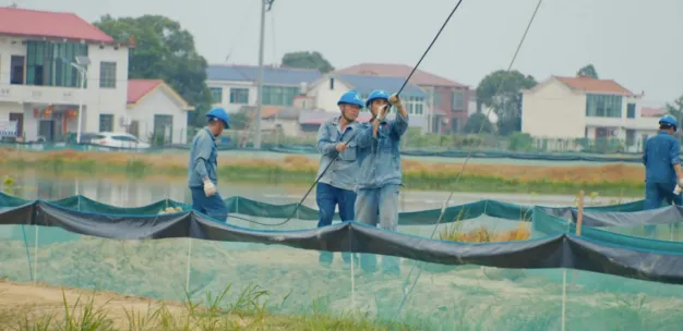 望城：为基层减负赋能 让“小马”跑起来