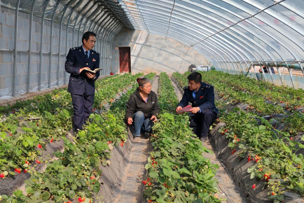 甘肃：税惠“加料” “甘味”绵长