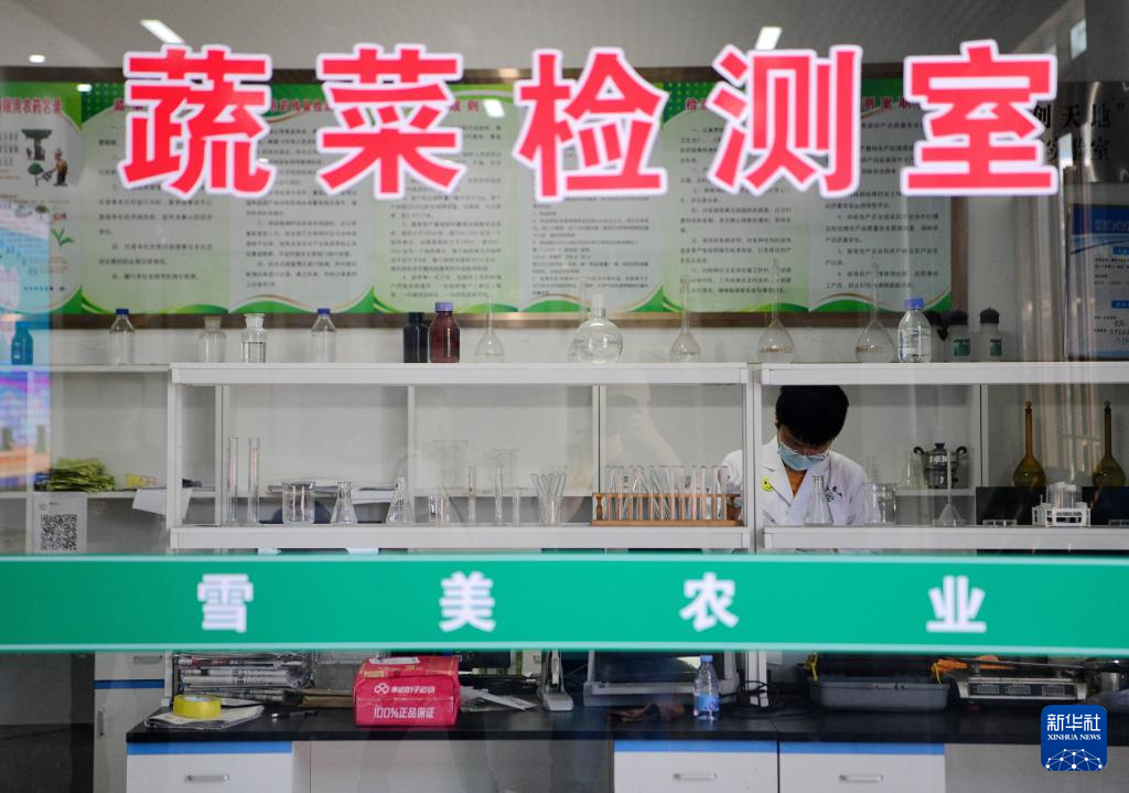 福州长乐：“土特产”做成“大文章”