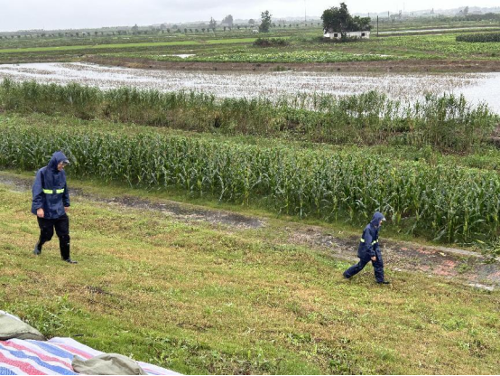 临湘市黄盖镇：风雨中的坚守与誓言