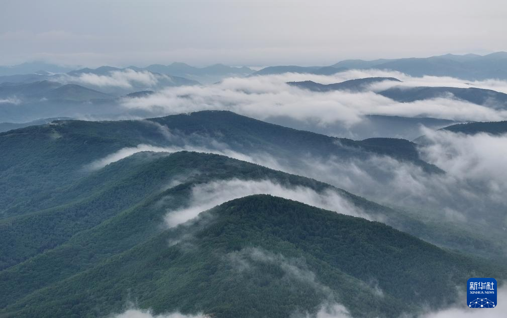 飞阅中国丨河北隆化：茅荆坝雾霭山岚如画