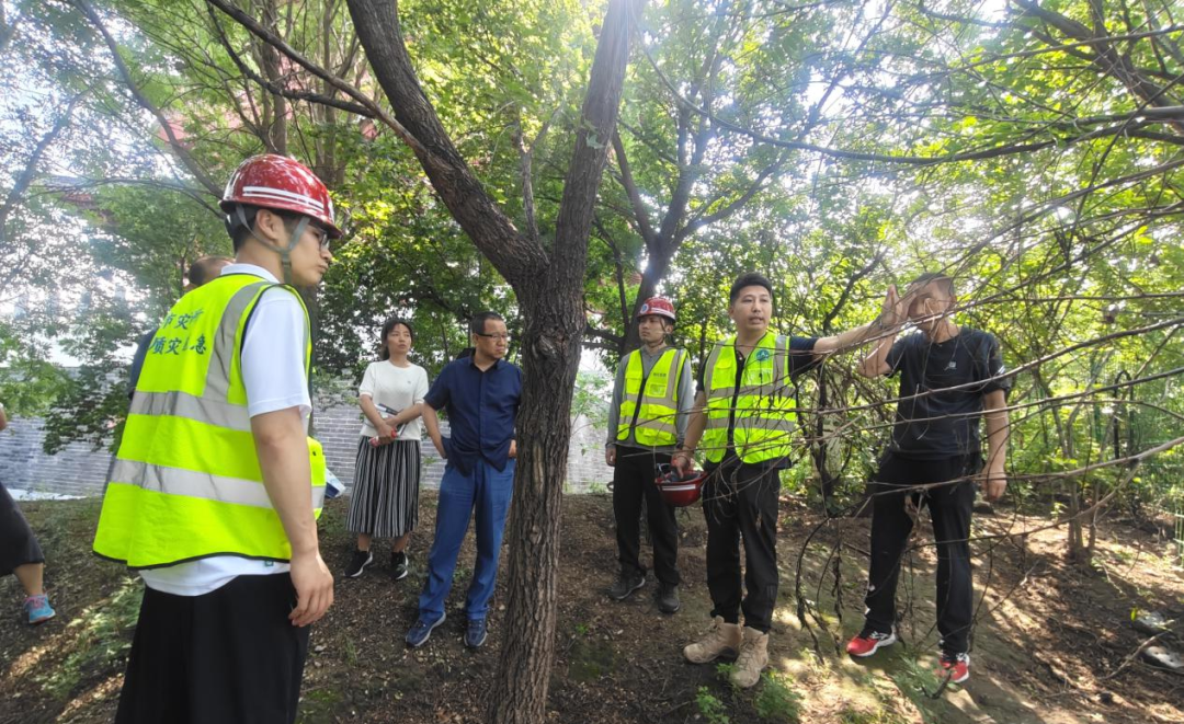 多部门联动，北京规自委丰台分局高效应对地质灾害，确保群众生命财产安全