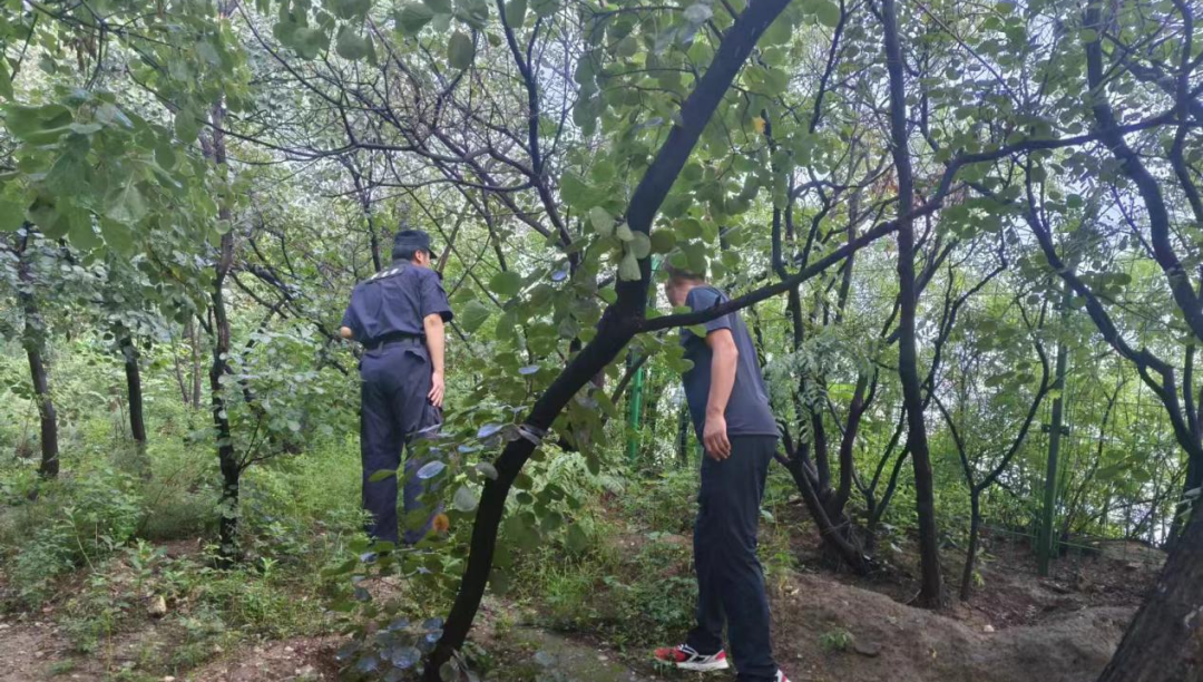 多部门联动，北京规自委丰台分局高效应对地质灾害，确保群众生命财产安全