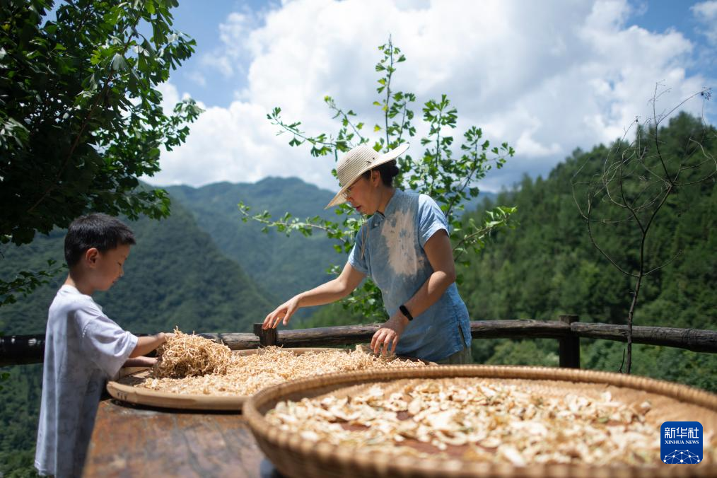 四季中国｜青山当户 白云过庭：“华中屋脊”上的夏日生意经