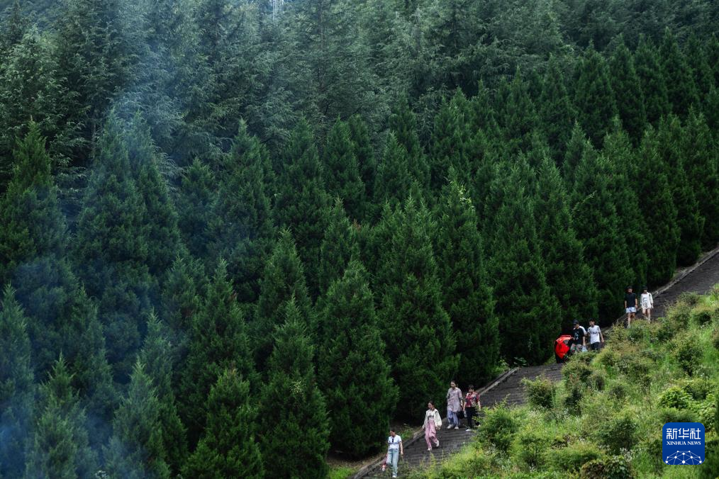 四季中国｜青山当户 白云过庭：“华中屋脊”上的夏日生意经