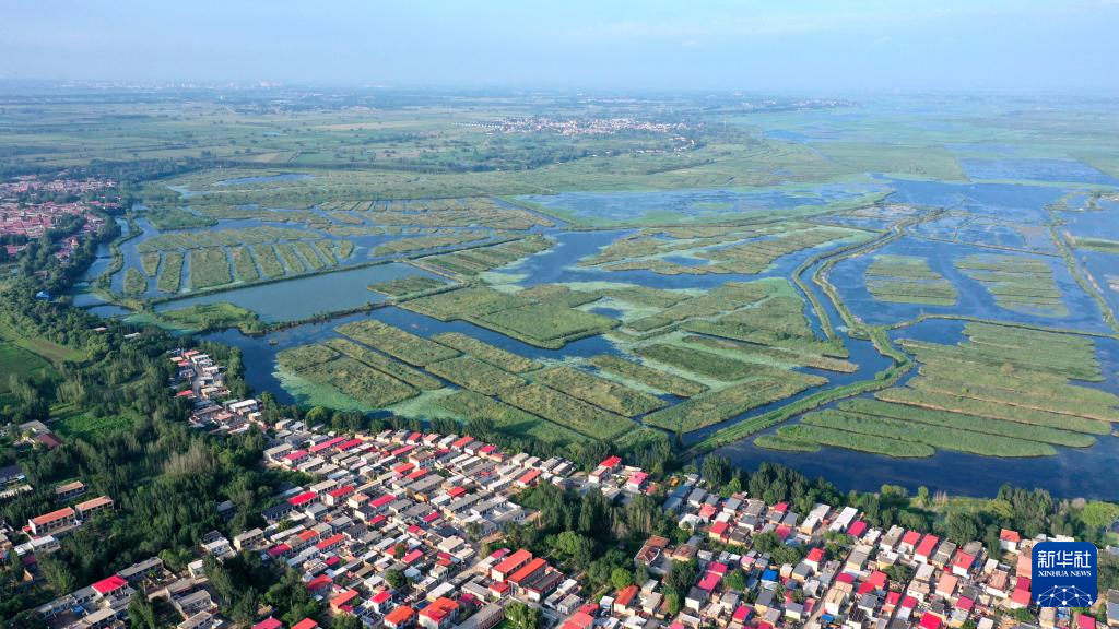 飞阅中国丨雄安新区唐河入淀口湿地