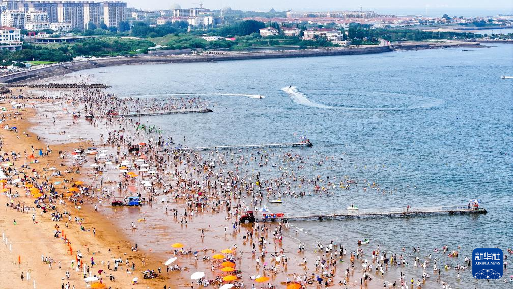 山东:近海岸线修复让滨海飘扬生态“绿丝带”