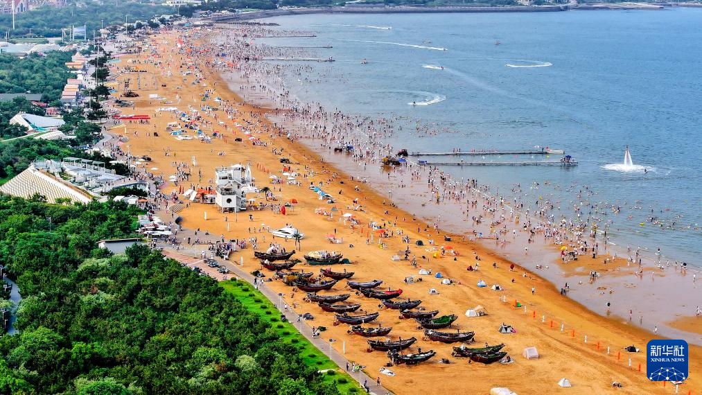 山东:近海岸线修复让滨海飘扬生态“绿丝带”