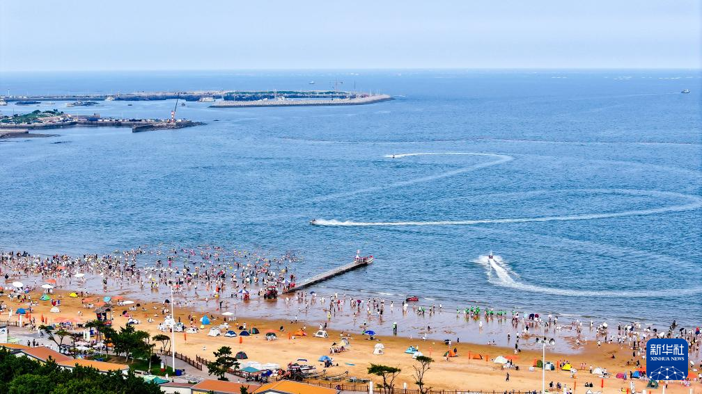 山东:近海岸线修复让滨海飘扬生态“绿丝带”