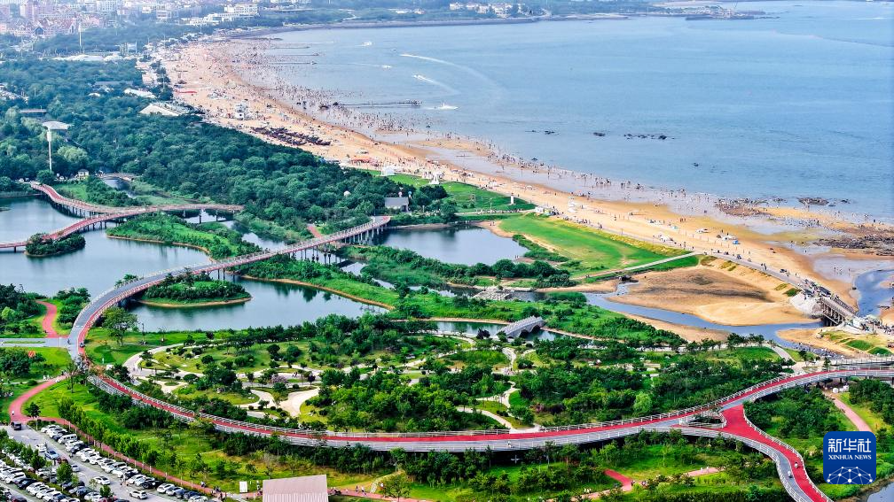山东:近海岸线修复让滨海飘扬生态“绿丝带”
