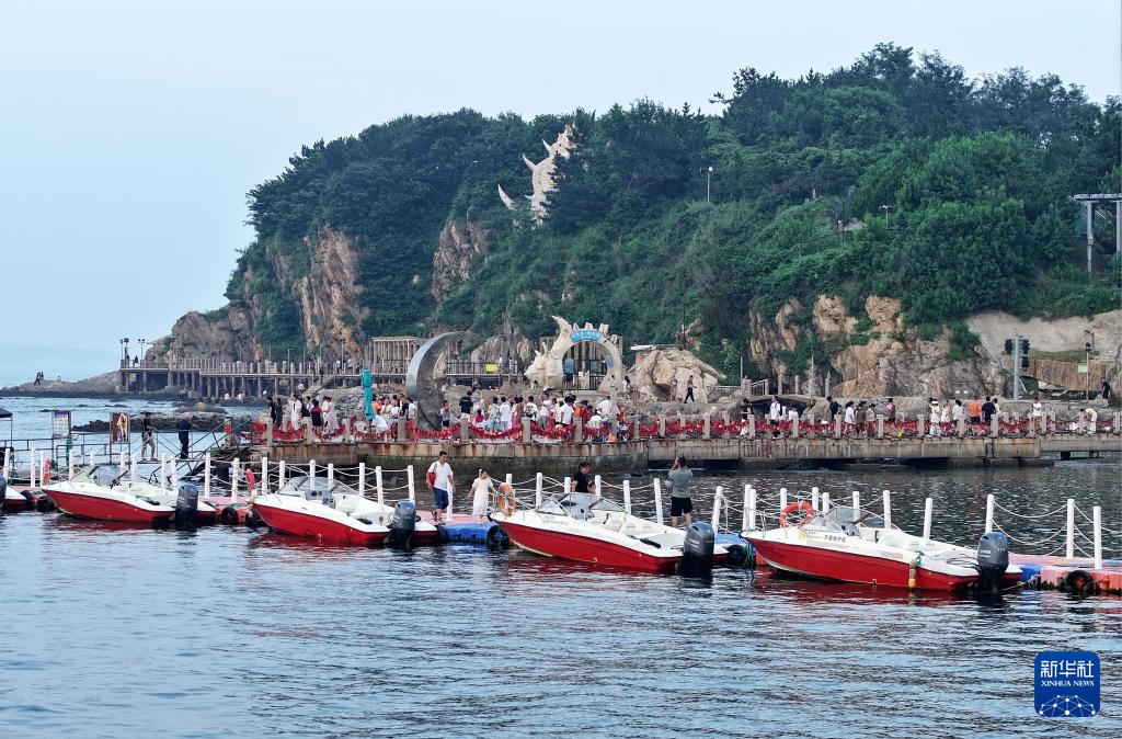 山东:近海岸线修复让滨海飘扬生态“绿丝带”