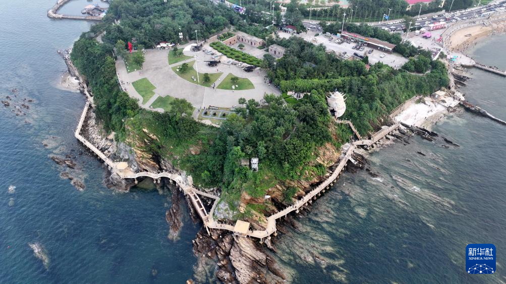 山东:近海岸线修复让滨海飘扬生态“绿丝带”