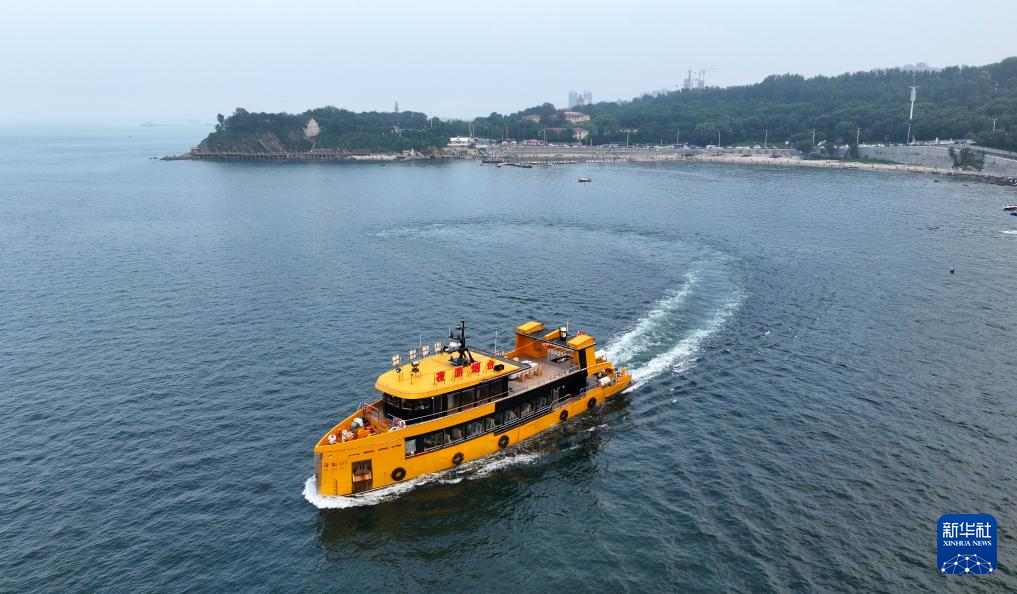 山东:近海岸线修复让滨海飘扬生态“绿丝带”